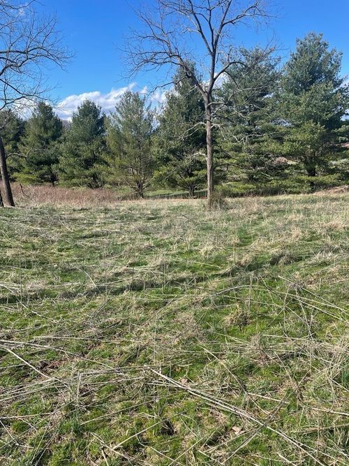 Lot41-42 Fountain Springs Dr, Peterstown, WV, 24963 | Card Image