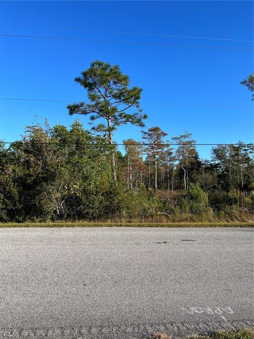  Starry Street, Orlando, FL, 32833 | Card Image