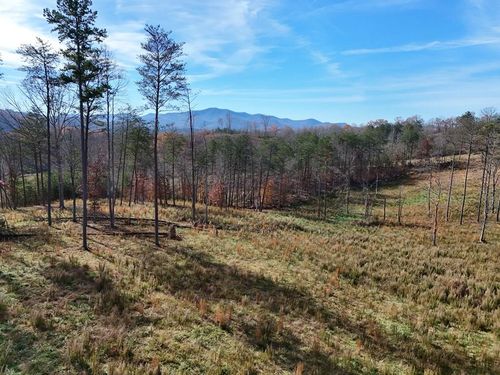 902 Deitz Cable Road, Warne, NC, 28909 | Card Image