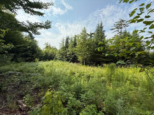 49 Black Bear Lane, Greenville, ME, 04441 | Card Image