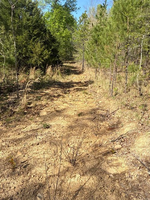 tract-3-000 Henderson Road, Clinton, AR, 72031 | Card Image