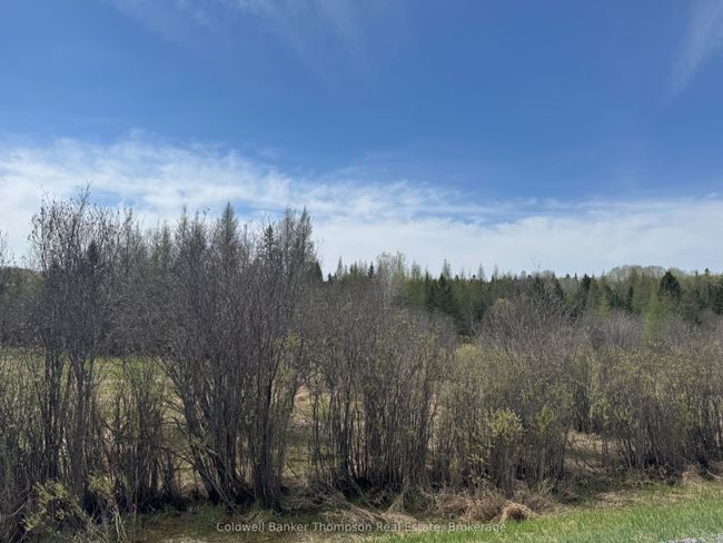 0 520 Highway Highway, House other with 0 bedrooms, 0 bathrooms and 6 parking in Ryerson ON | Image 4