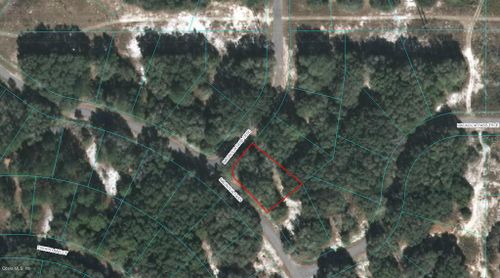 00 Magnolia Pass Crse, OCKLAWAHA, FL, 32179 | Card Image