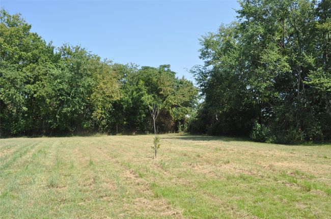 View of yard | Image 15