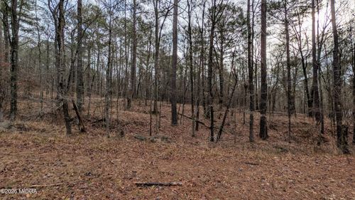 0 Highway 87, Macon, GA, 31210 | Card Image