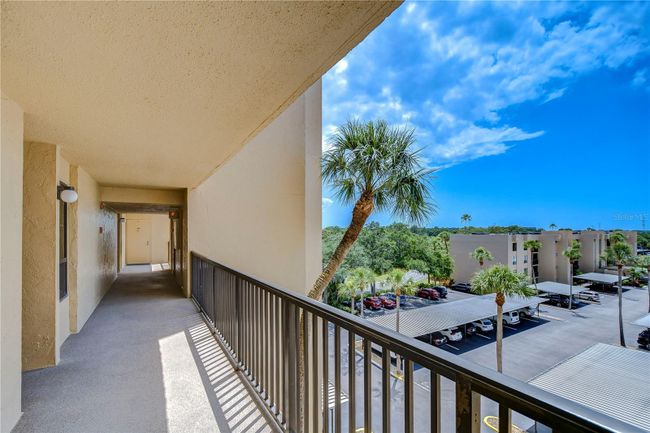 UNIT-506 - 2616 Cove Cay Dr, Condo with 1 bedrooms, 2 bathrooms and null parking in CLEARWATER FL | Image 41