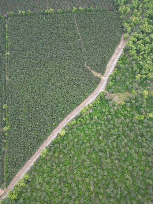 Parcel 2 Highway 172, Monticello, AR, 71675 | Card Image