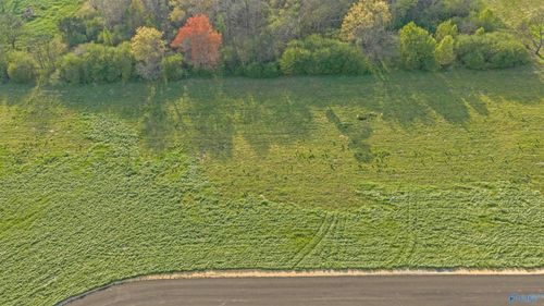 Lot 14 Garrett St, Rainsville, AL, 35986-4789 | Card Image