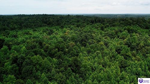 Tract 5 Cook Lane, Cromwell, KY, 42333 | Card Image