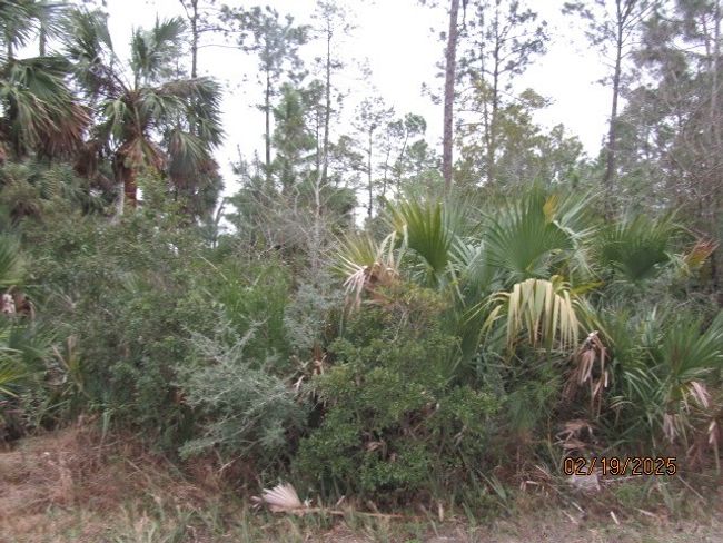 110 24th Ave, Home with 0 bedrooms, 0 bathrooms and null parking in Apalachicola FL | Image 6