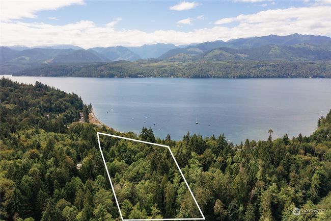 On the hill looking at that famous Hood Canal and Olympic Mountain view. | Image 6