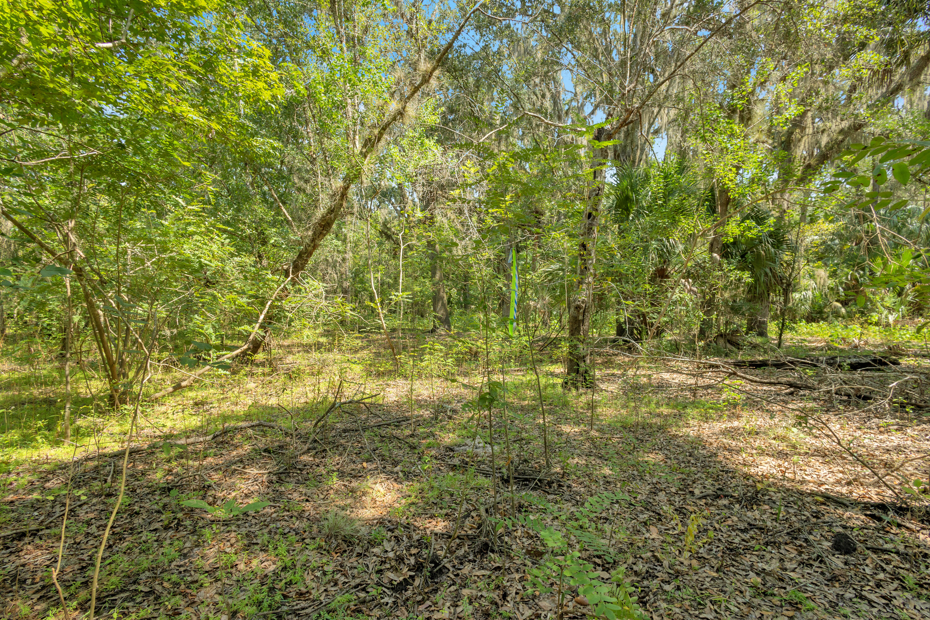 Land in Deland 5