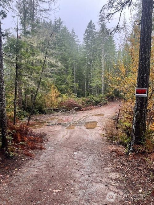 0 Tract 15 Ne Dewatto Hills Rd, Belfair, WA, 98528 | Card Image