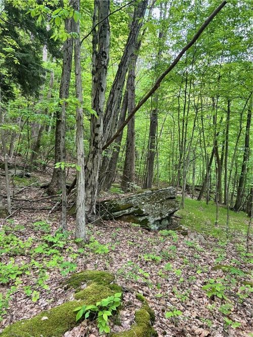 512 County Highway 18, Mount Upton, NY, 13809-4206 | Card Image