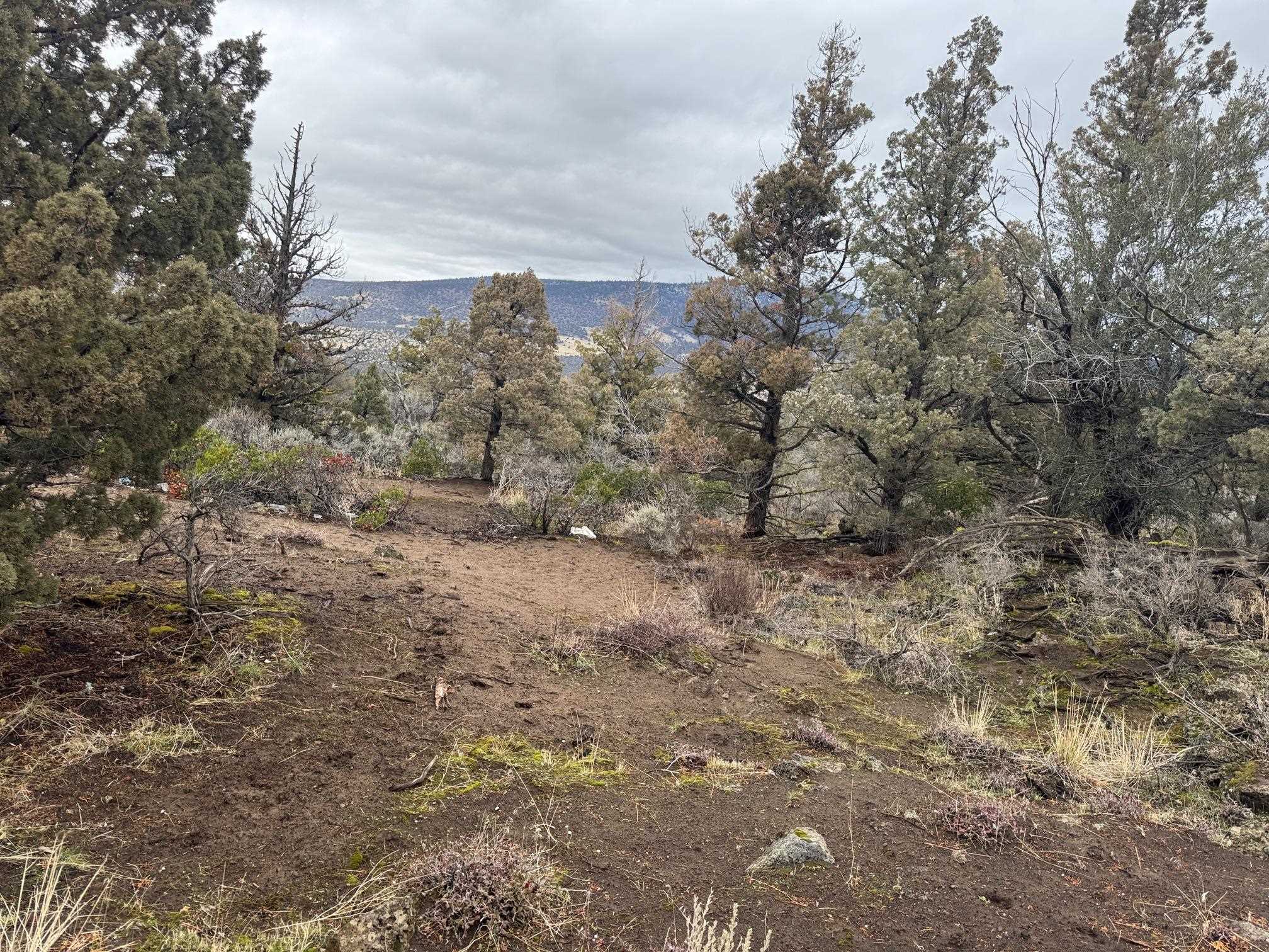 Land in Montague 5