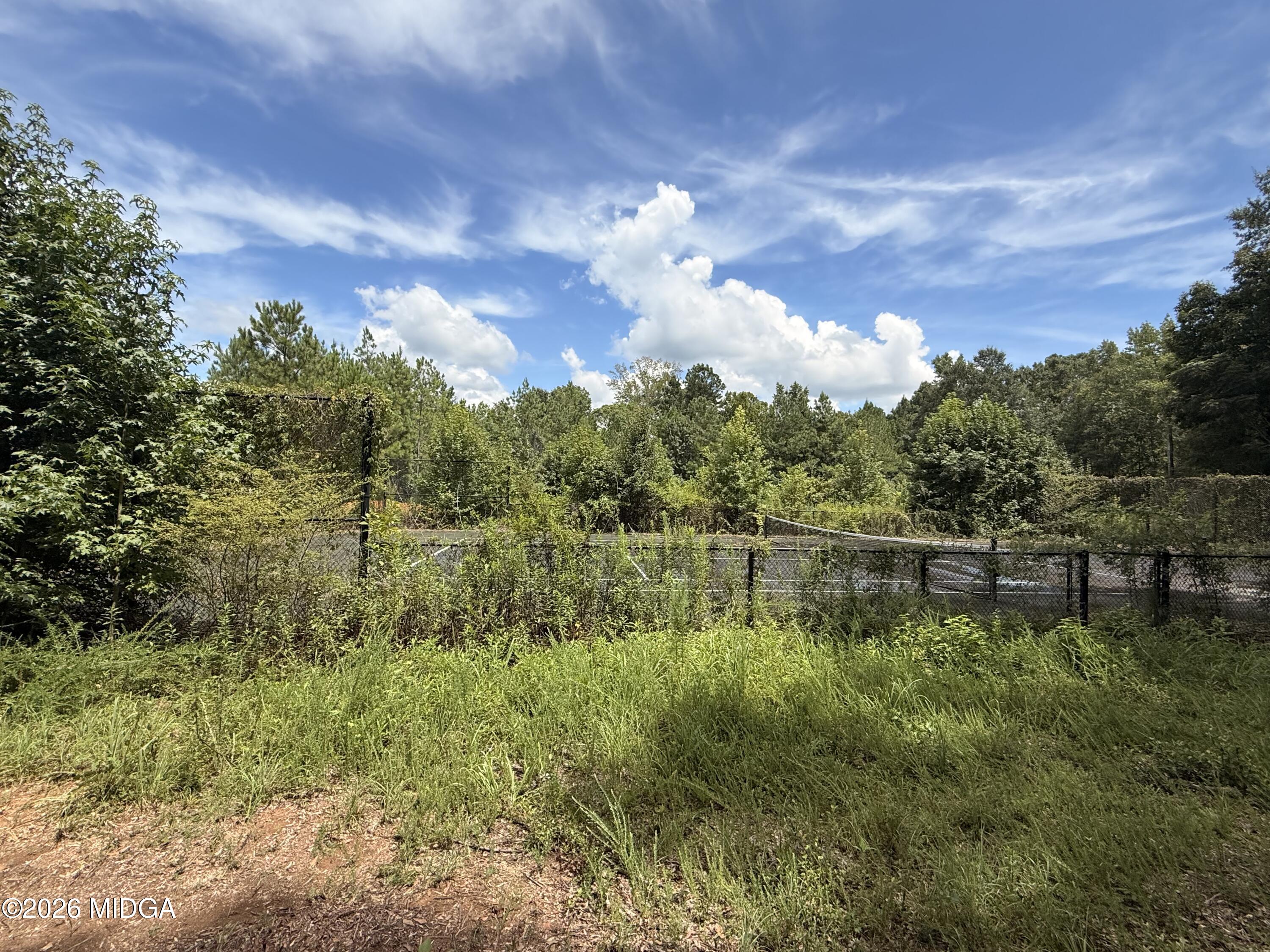 Land in Macon 5