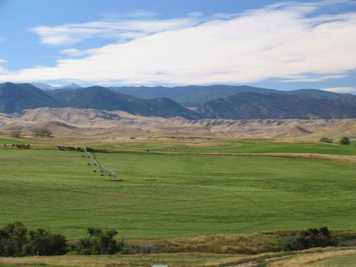 21 Hopkins Divide Loop, Buffalo, WY, 82834 | Card Image