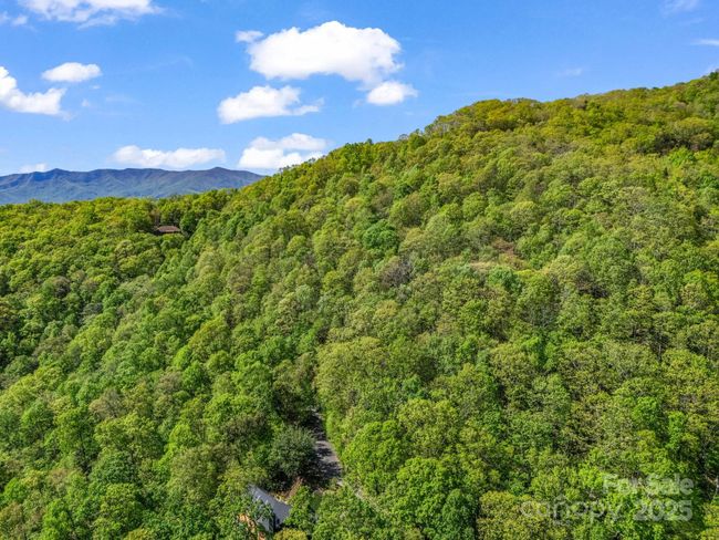 8 White Birch Ct, Home with 0 bedrooms, 0 bathrooms and null parking in Black Mountain NC | Image 8