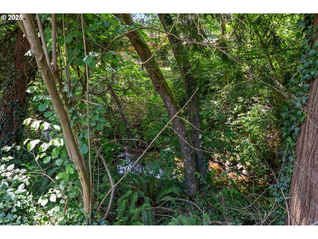 Green Space-Back | Image 39