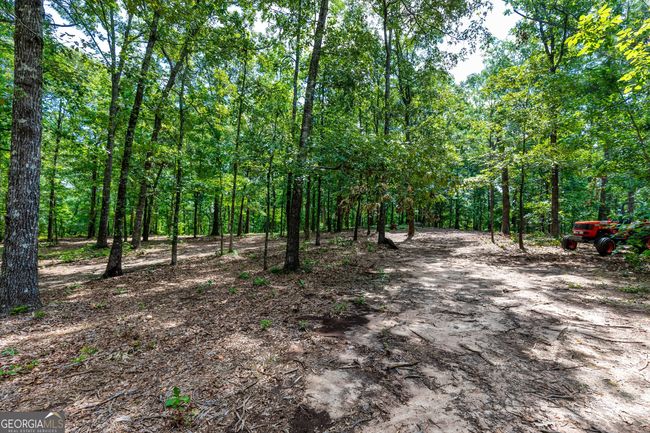 0 John Lovelace Rd, Home with 0 bedrooms, 0 bathrooms and null parking in LAGRANGE GA | Image 22