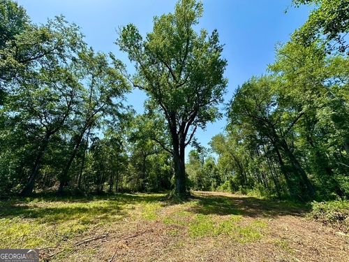0 Bennett Colter Rd, Cadwell, GA, 31009 | Card Image
