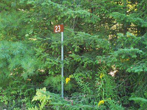 23 Stoney Rd, Tiny, ON, L9M0H2 | Card Image