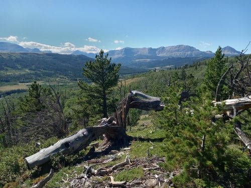 NHN Highway 89, Browning, MT, 59417 | Card Image