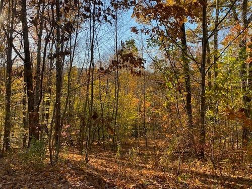 539 Fox Hill Rd, Bernardston, MA, 01337-9598 | Card Image