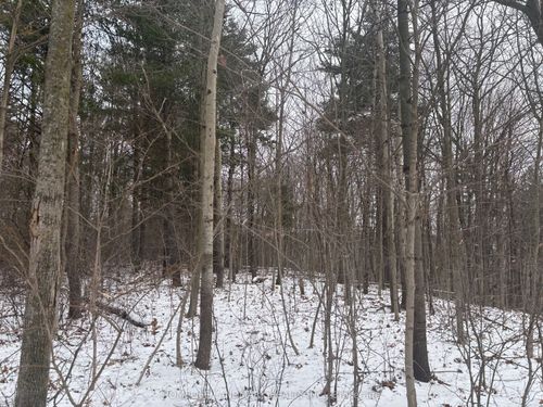 LT 45 Con 7 Ebr Lindsay N/A, Northern Bruce Peninsula, ON, N0H1Z0 | Card Image