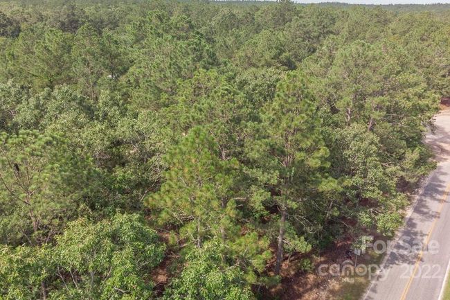 1915 Koon Road, Home with 0 bedrooms, 0 bathrooms and null parking in Lugoff SC | Image 10