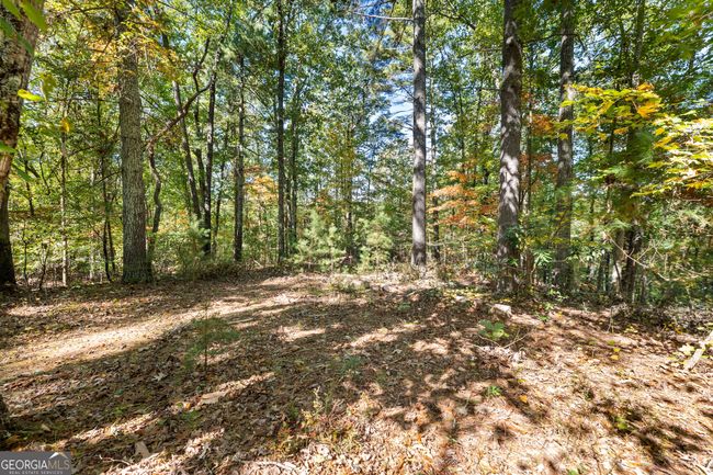 lot 2 Winterberry Lane, Home with 0 bedrooms, 0 bathrooms and null parking in Gainesville GA | Image 32