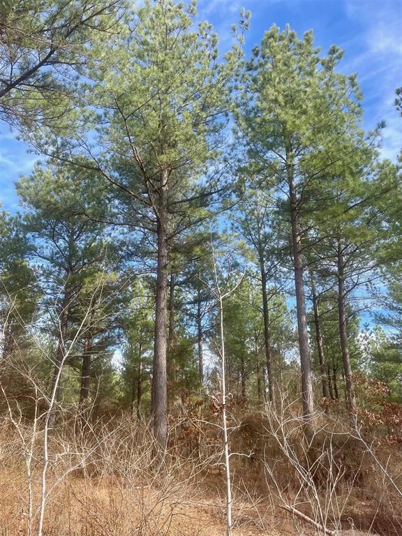 Land in Broken Bow 3