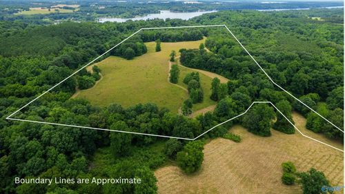 41 Acres Richter Rd, Rogersville, AL, 35652 | Card Image