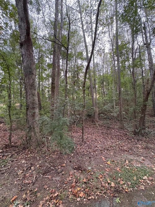 LOT 124 Evergreen Way, Union Grove, AL, 35175 | Card Image