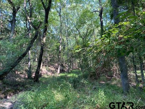 TR 4-A Cr 41514, Athens, TX, 75751 | Card Image