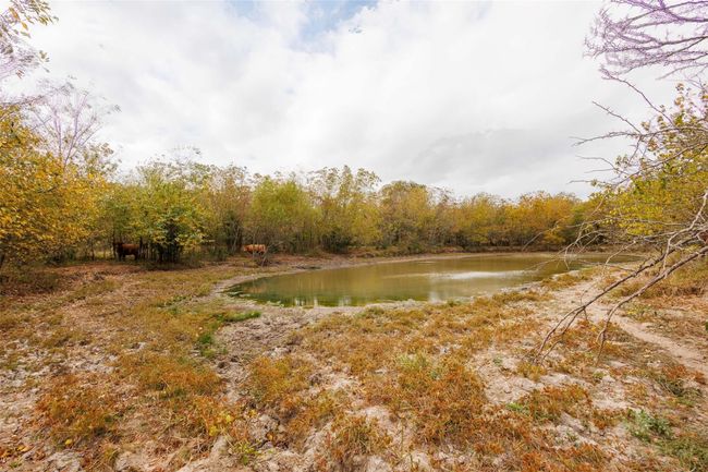 Pond located at south end of the property! | Image 6
