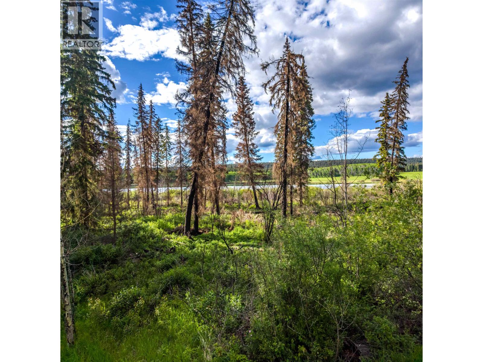 Land in Horse Lake 5