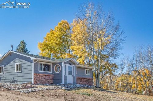 246 Maid Marian Drive, Divide, CO, 80814 | Card Image