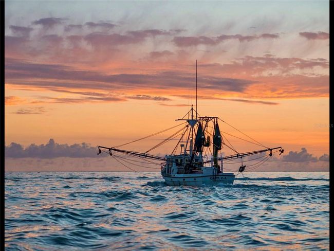 Shrimp boat | Image 49
