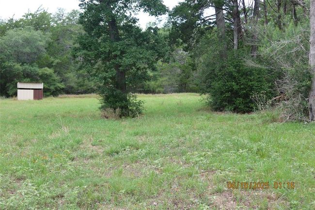 1584 Dungens Mill Rd, Home with 0 bedrooms, 0 bathrooms and null parking in Columbus TX | Image 8