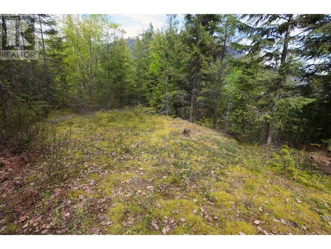 434 Lexington Ave, Home with 0 bedrooms, 0 bathrooms and null parking in Procter BC | Image 10