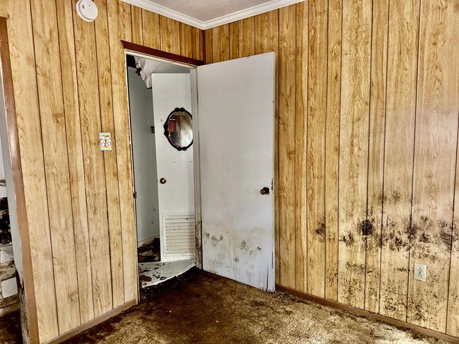 733 Phyllis Ave, House other with 3 bedrooms, 1 bathrooms and null parking in Port Arthur TX | Image 14