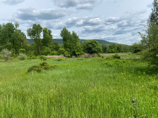 151 Sand Rd, Home with 0 bedrooms, 0 bathrooms and null parking in Canaan CT | Image 7