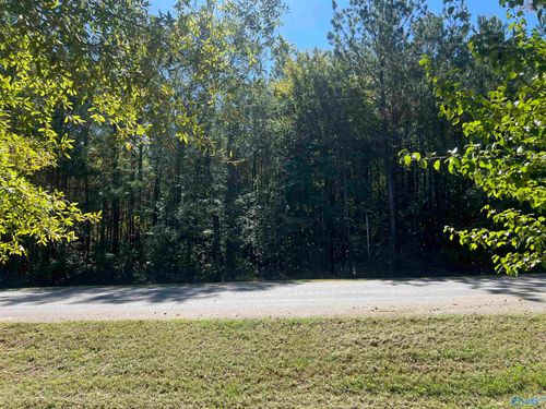 Tracts 1 & Pt 2 Summer Breeze Dr, Cedar Bluff, AL, 35959 | Card Image