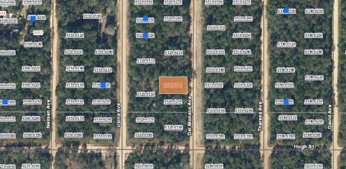 TBD Del Monaco Ave, FLORAHOME, FL, 32140 | Card Image