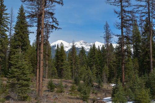 NHN Scenic Dr, Condon, MT, 59826 | Card Image