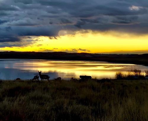 Lot 68 Shoreline Dr, Buffalo, WY, 82834-9603 | Card Image