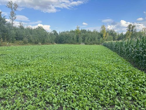 27262 151st Ave, Bagley, MN, 56621-4380 | Card Image