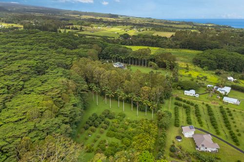 29-2115 Wailea Rd, Hakalau, HI, 96710 | Card Image