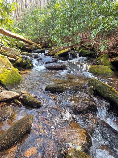 1104 Mill Creek Rd, Robbinsville, NC, 28771 | Card Image